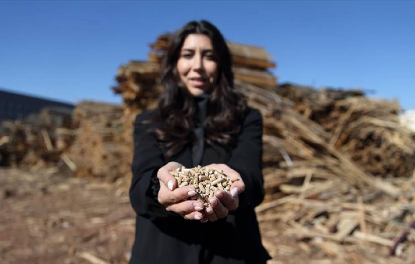 Köyünde fabrika kurdu, onlarca kişiyi iş sahibi yaptı! Fazladan ağaç kesimini de önlüyor