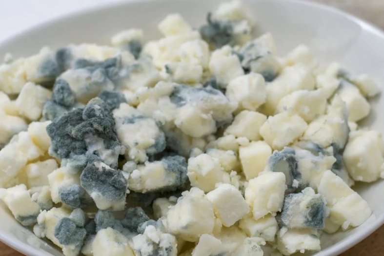 Küfü kesip atmak yetmeyebilir; bazı gıdalarda tehlike gözle görünmez