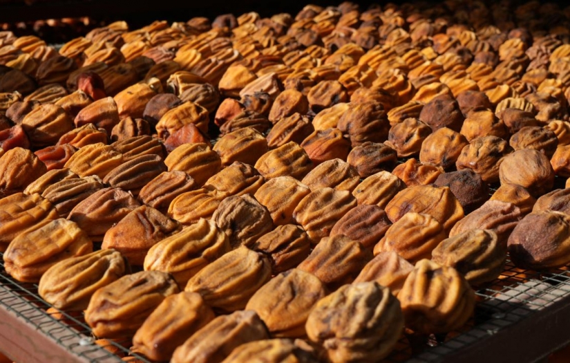 Trabzon hurmasını kurutup Türkiye’nin dört bir yanına gönderiyorlar