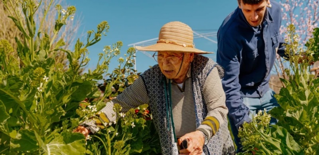 Daha uzun yaşamak için küçük adımlar