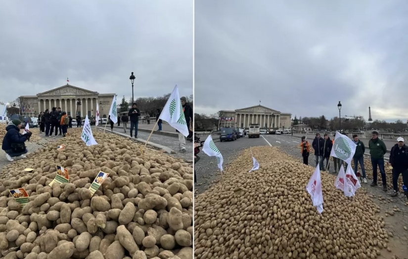 Fransa'da çiftçilerden sert protesto: Meclisin önüne 30 ton patates döktüler