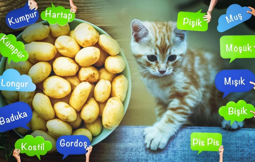 Kullanılmayan kelimeler 'arkaik' hale geliyor