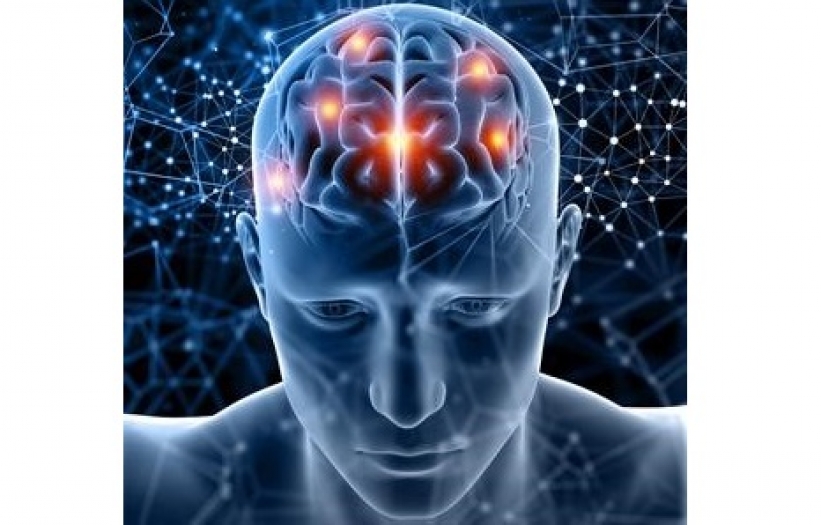 Beynin Temizlik Dengesi Bozulursa Öğrenme de Etkileniyor
