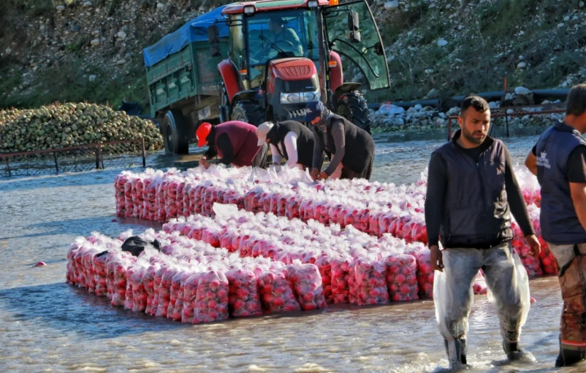 73 yıllık dev fabrikada üretim durdu: Yüzlerce işçi işsiz kaldı
