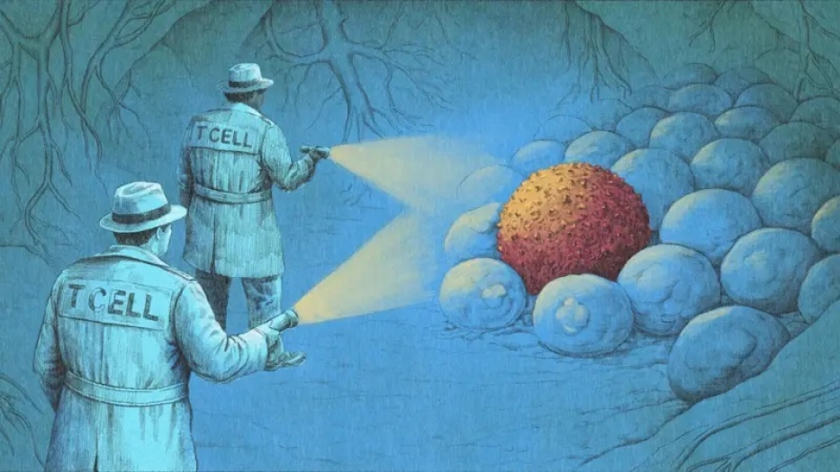 'Bilim kurgu gibi': Yeni bağışıklık sistemi tedavileri kanserle nasıl savaşıyor?