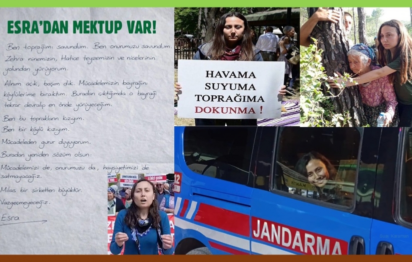 SUAY KARAMAN yazdı: "Akbelen Talanı.."