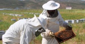 Yenişehir’de arıcılık gelişiyor