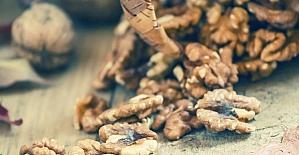 Çocuğunuza her gün 7 ceviz yedirin