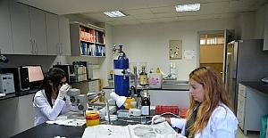 Uludağ Üniversitesi, depresyonu yenen molekül buldu