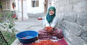 C vitamini deposu kuşburnunun lezzet yolculuğu