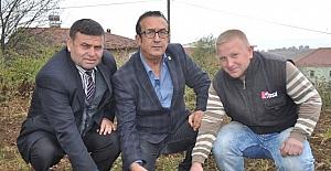 Safran altınla yarışıyor