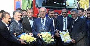 Bursa’dan Hollanda’ya armut ve ayva ihracatı başladı