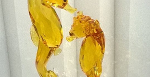 Tuğçe'nin gözünden "Denizatı"