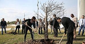 Zimbabve, Afkira’nın sembolü ‘Baobab Ağacı’nı EXPO 2016’ya hediye etti