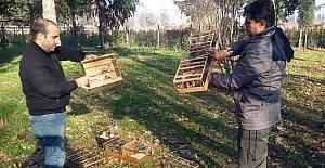 Bursa’da kaçak avlanan sakalar hürriyetlerine kavuştu