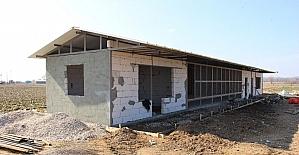 Burası da ‘Güvercin oteli’