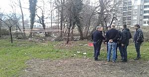 Bursa’da bonzai kabusu: 1 günde 4 can