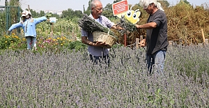 Nilüfer’den lavanta kokusu yayılıyor