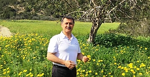 Prostat'tan korkmayın, büyümesi engellenebilir..