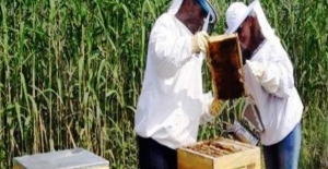 Nilüfer Kent Bostanları’nda bal üretimi