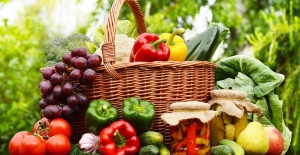 Organik Tarımda Üretim Arttı