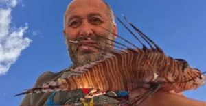 Bodrum ve Gökova Körfezinde hızla yayılan zehirli balıklar !