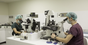 Tüp bebek laboratuvarlarında hangi işlemler yapılıyor?