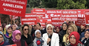 Türkiye Diyarbakır anneleri için ayakta!..