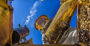 'Sarı Kareler Fotoğraf Yarışması’nda ödüller sahiplerini buldu