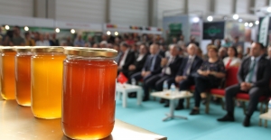 Adana 9. Geleneksel Bal Yarışması