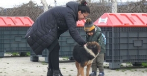 Hayvanseverlerden Mustafakemalpaşa'ya tam puan
