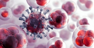 İşte kanser tedavisinde kullanılan o bitkiler!