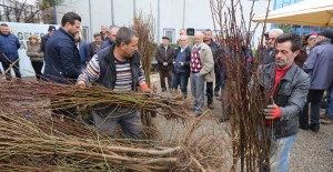 Nilüfer Belediyesi’nden çiftçiye fidan desteği