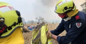 Avustralya yangınları: Neden 4 aydır söndürülemiyor, bilançosu ne?