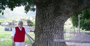 TEMA Vakfı kurucusu Hayrettin Karaca vefat etti