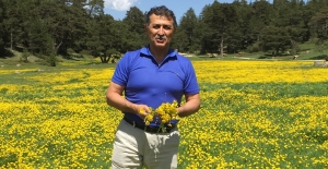 ÜMİT YURTKURAN yazdı: "Asıl güçlü olan CORONA virüsü mü yoksa MEDYA mı?.."