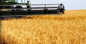 BUĞDAY İTHALATI'nda tarihi rekor'