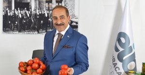 Domates ihracatta rekor kırdı