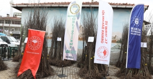 Harmancık tarımda ayva ile markalaşacak