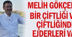 Melih Gökçek'in hayvanat bahçesi fantezileri