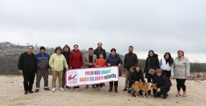 Sokak hayvanlarını sürekli besliyorlar