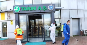 Sağlıklı gıda için üst düzey tedbir