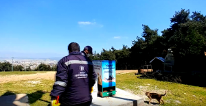 Bursa Büyükşehir Belediyesi sokak hayvanlarını ihmal etmiyor