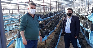 Çiftçiye destek sürüyor