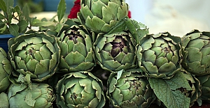 Hasanağa enginarı coğrafi işaret tescili aldı