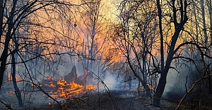 Ukrayna Çernobil Bölgesi'ndeki yangın 8 gündür söndürülemedi