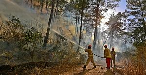 Afrika sıcakları başladı, orman yangınlarına dikkat!..
