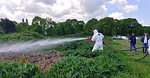 Bursa, hastalıklara karşı daha güvenli