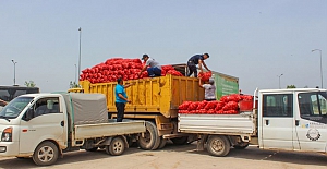 Karacabey’li çiftçi Ali Çakır 100 ton soğanı vatandaşa bağışladı