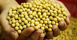 Tarım Bakanlığı’ndan çiftçiye gübre desteği